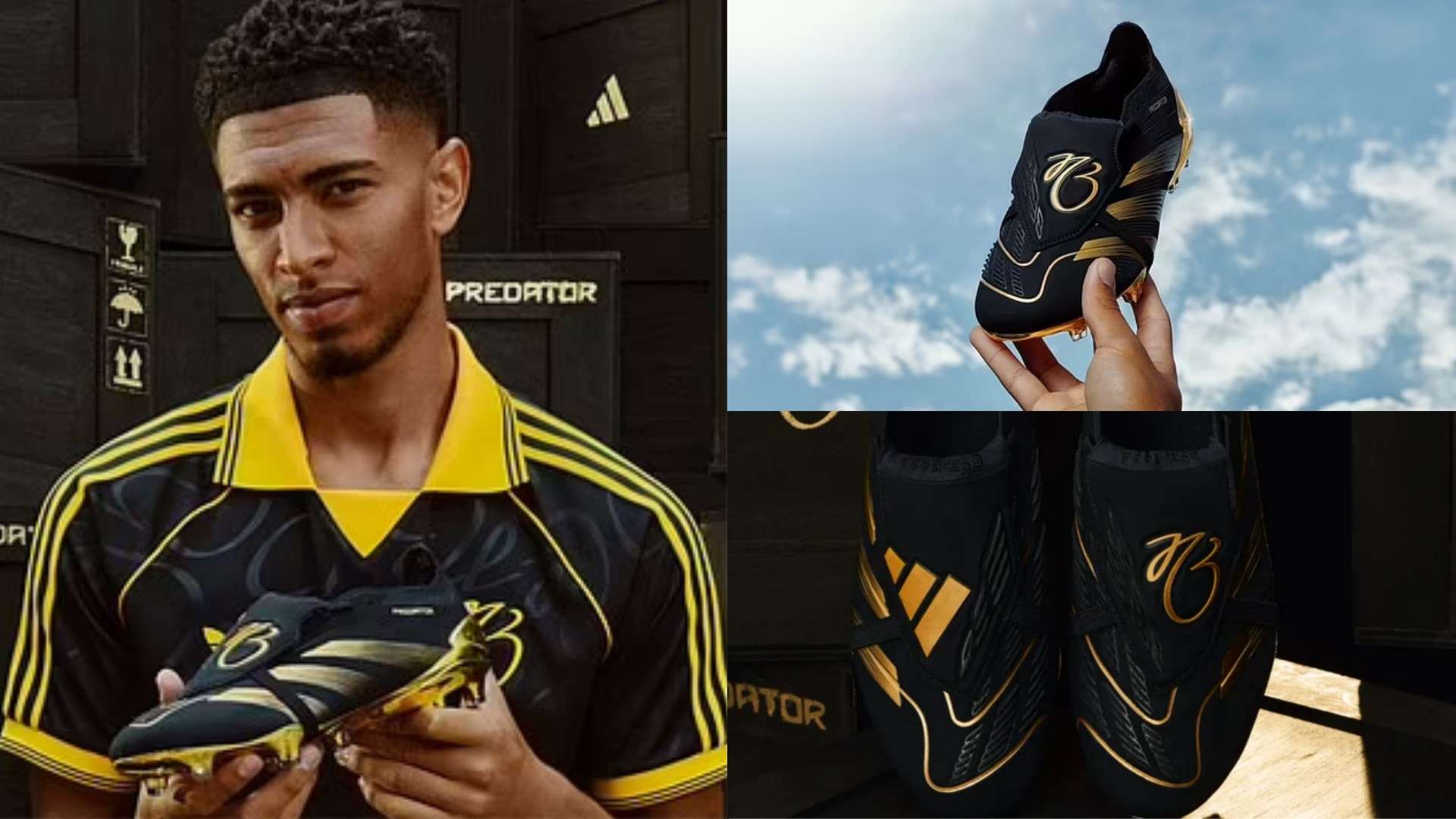 期望重返賽 期望重返賽